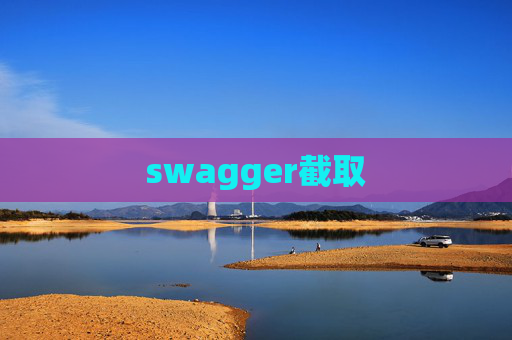 swagger截取